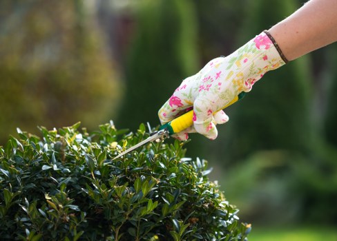 Professional garden maintenance in Downe for homes and businesses