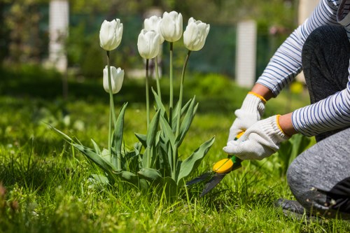 Local gardener carrying out hedge trimming and lawn care in Downe