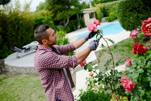 Free quote policy for local garden maintenance