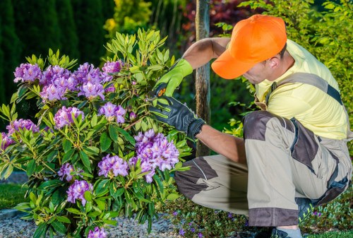 Cookie policy introduction for Gardeners Downe