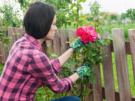 Local gardeners in Downe caring for a well-kept garden