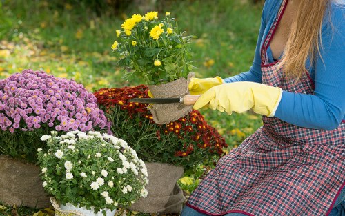 Garden maintenance in Downe with tidy lawn and borders
