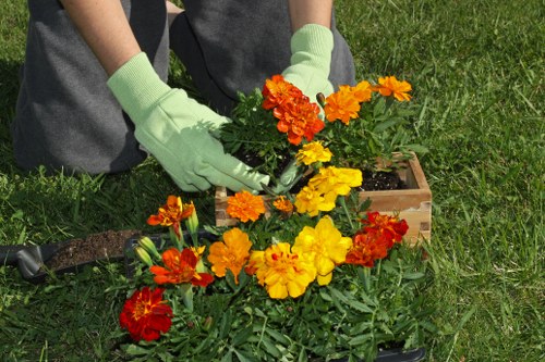 Visual cue for keyboard navigation on the Gardeners Downe website