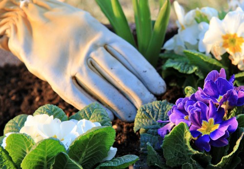 Gardeners Downe secure card and PayPal payment options