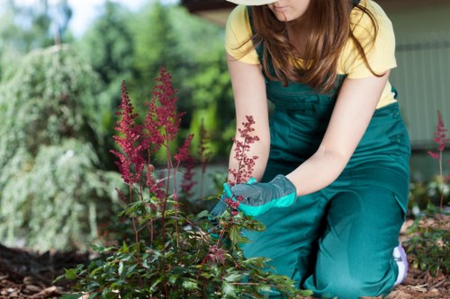Garden maintenance terms and conditions document close-up