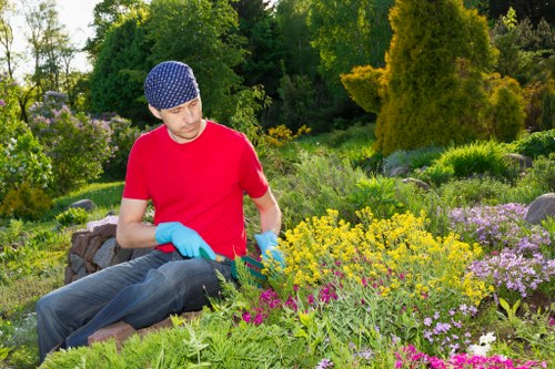 Garden waste and bulky items collected during clearance in Downe