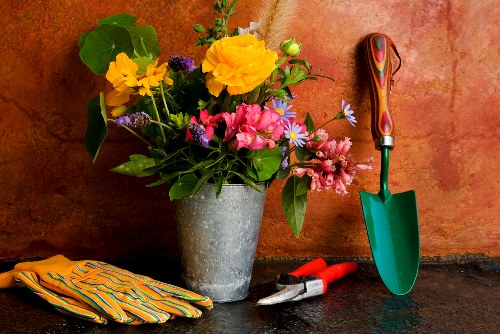 Professional gardener reviewing booking and payment terms