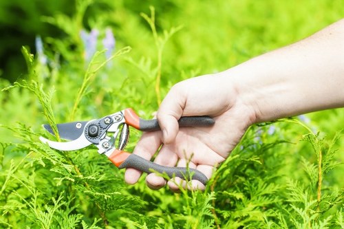 Final resolution step in a gardeners complaint handling process
