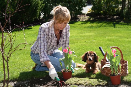 Accessibility-focused image representing screen-reader friendly garden services