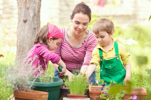 Professional lawn care in Downe addressing soil and grass health