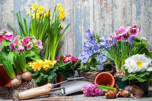 Autumn garden tidy-up and leaf clearance by gardening services in Downe