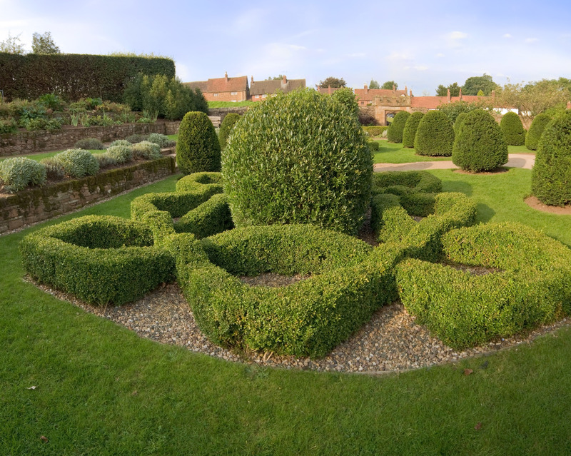 garden trees