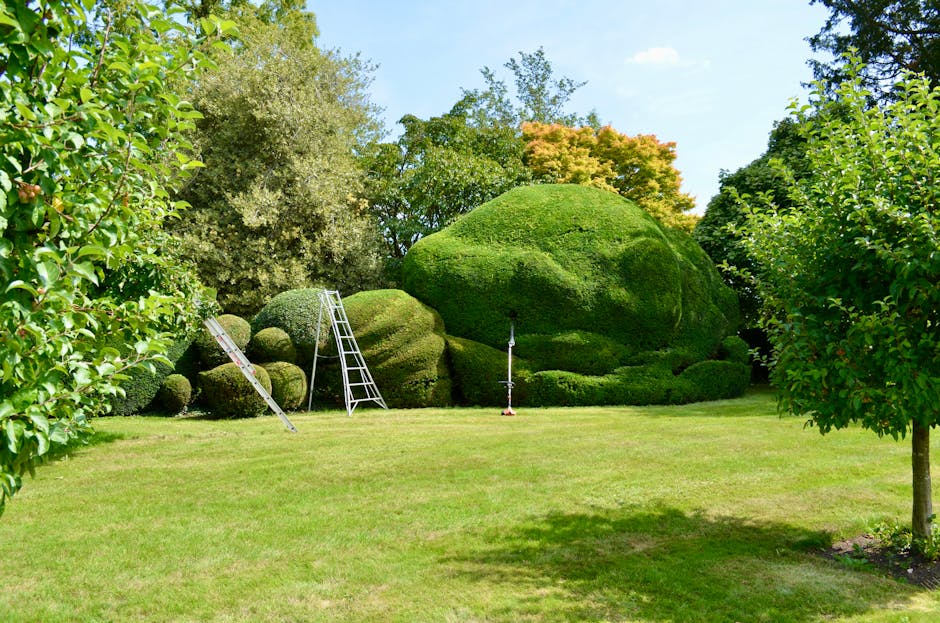 A well-maintained garden area near High Elms Country Park featuring a lush, green lawn with neatly trimmed grass. In the background, there are large, rounded, and sculpted bushes and trees, including 
