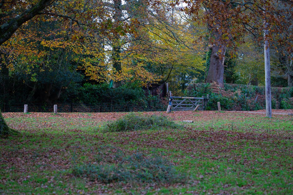 A well-maintained garden area near High Elms Country Park featuring a lush, green lawn with neatly trimmed grass. In the background, there are large, rounded, and sculpted bushes and trees, including 